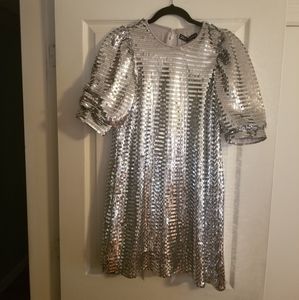 Zara Silver shimmer sequin dress size Small